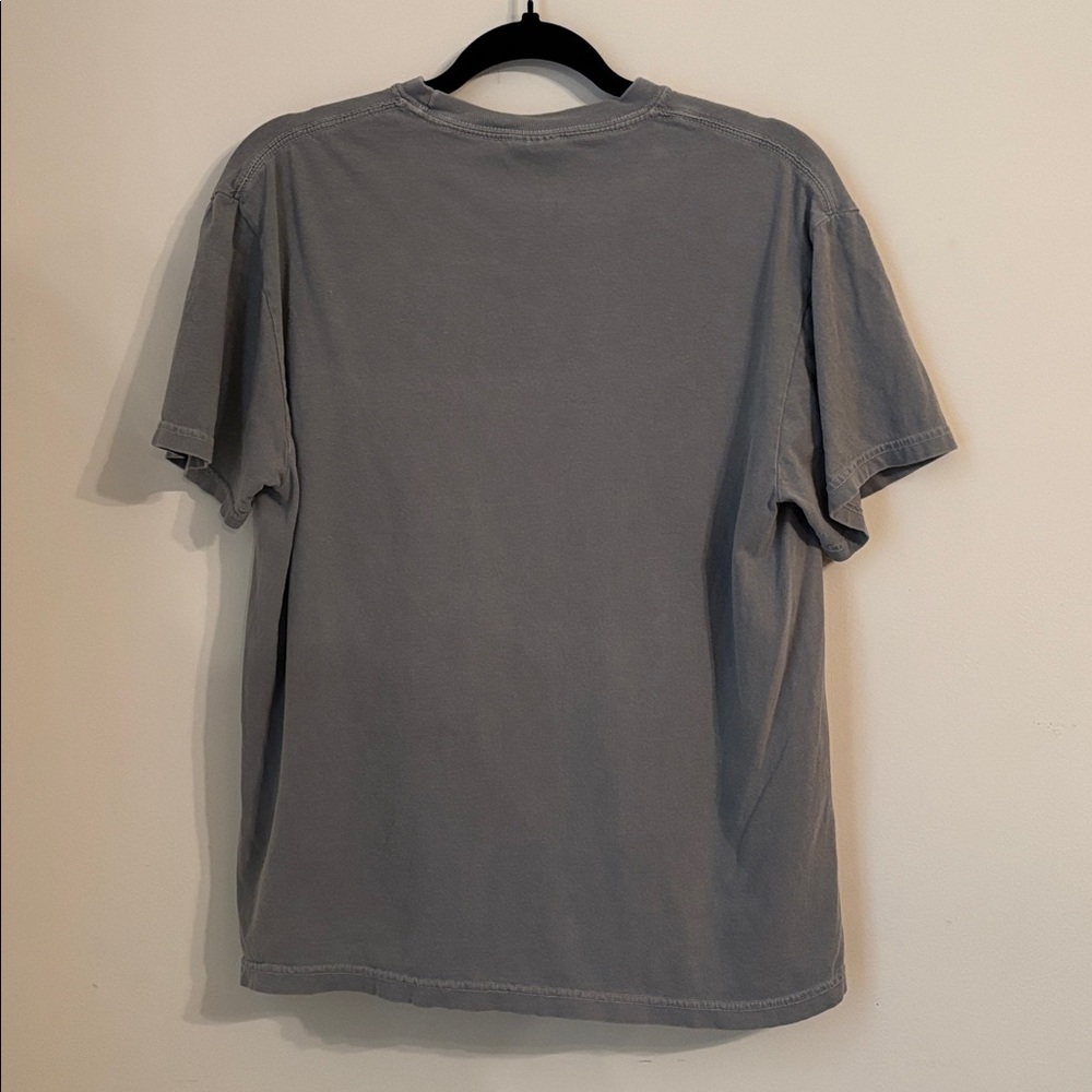 Comfort Colors Gray Smokey (Bluey) Dog Tee - Picture 2 of 4